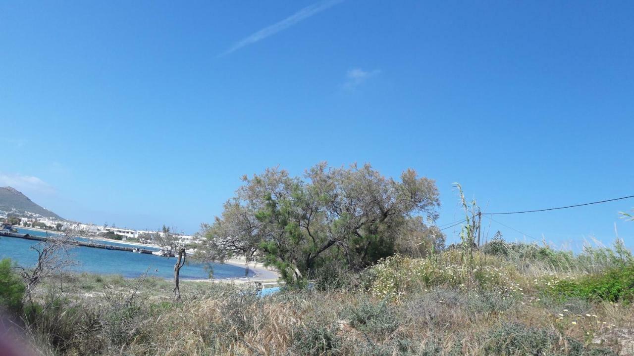 Chez Irene Sweet Pension Naxos City Luaran gambar